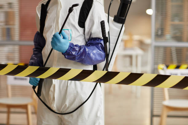 Professional Sewage Cleanup technician working in Vestaburg, MI